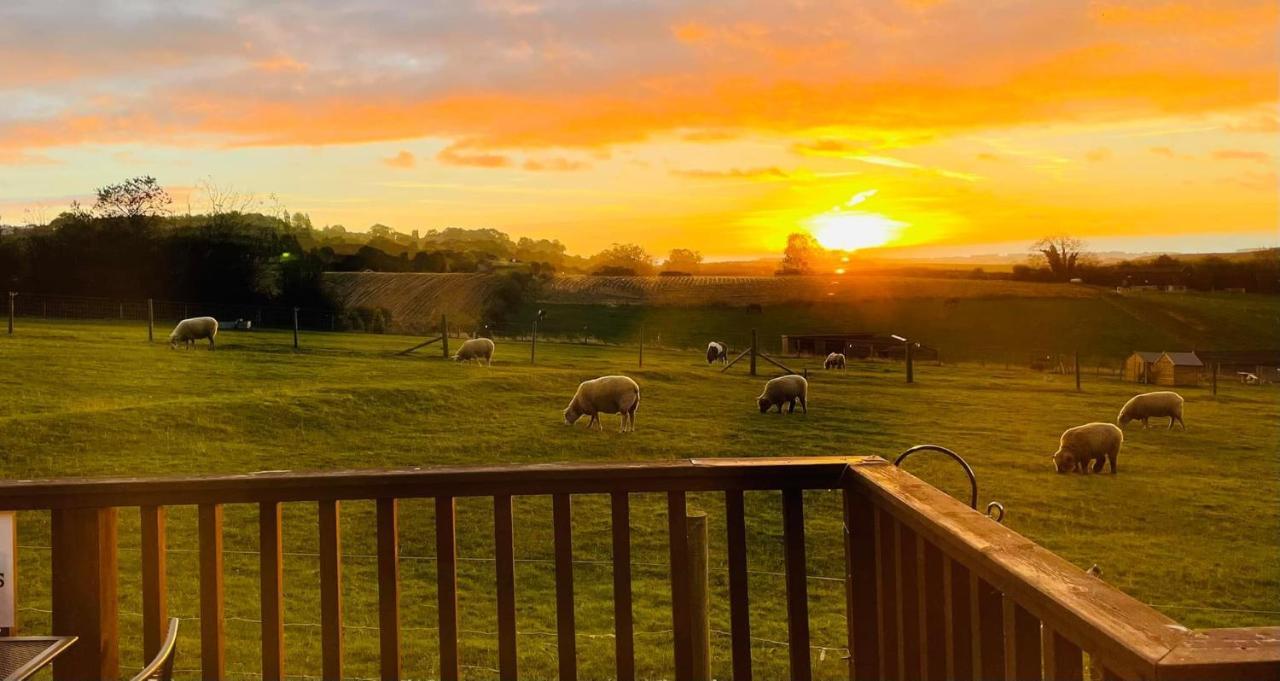 Fairview Farm Holiday Accommodation 14 Luxury Lodges, Cabins, Dog Friendly, Suitable For Couples, Families And Groups, Wedding Guests , Corporate Events, Sleeps 2-65 Guests In Ravenshead, Nottingham Near Sherwood Forest, Set In 88 Acres Екстер'єр фото