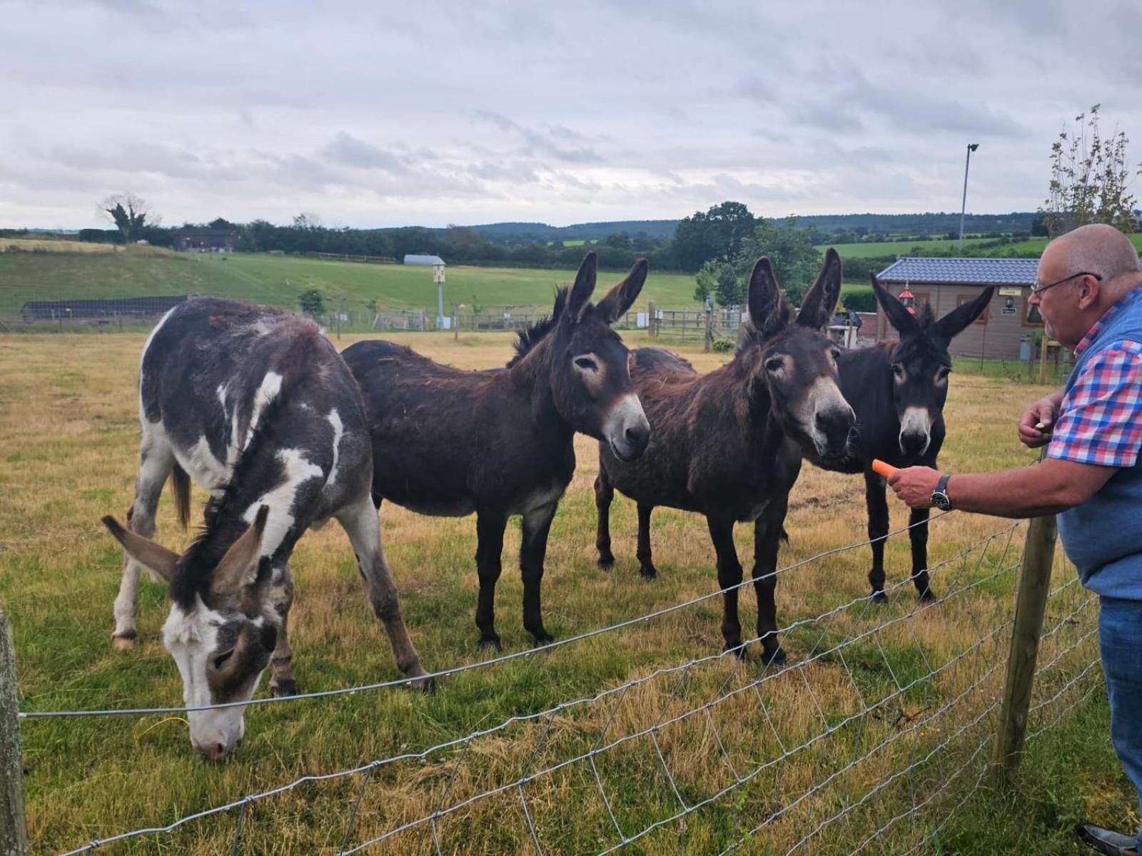 Fairview Farm Holiday Accommodation 14 Luxury Lodges, Cabins, Dog Friendly, Suitable For Couples, Families And Groups, Wedding Guests , Corporate Events, Sleeps 2-65 Guests In Ravenshead, Nottingham Near Sherwood Forest, Set In 88 Acres Екстер'єр фото