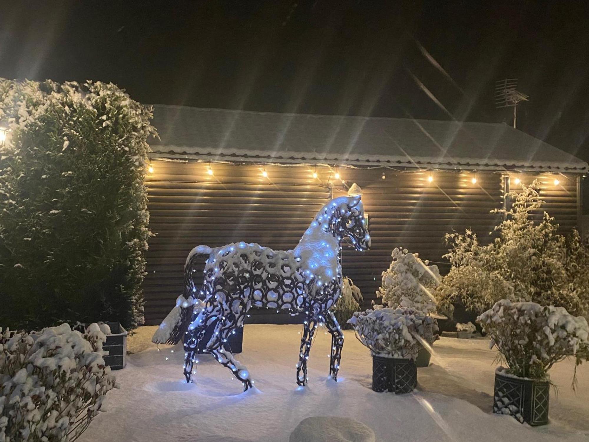 Fairview Farm Holiday Accommodation 14 Luxury Lodges, Cabins, Dog Friendly, Suitable For Couples, Families And Groups, Wedding Guests , Corporate Events, Sleeps 2-65 Guests In Ravenshead, Nottingham Near Sherwood Forest, Set In 88 Acres Екстер'єр фото