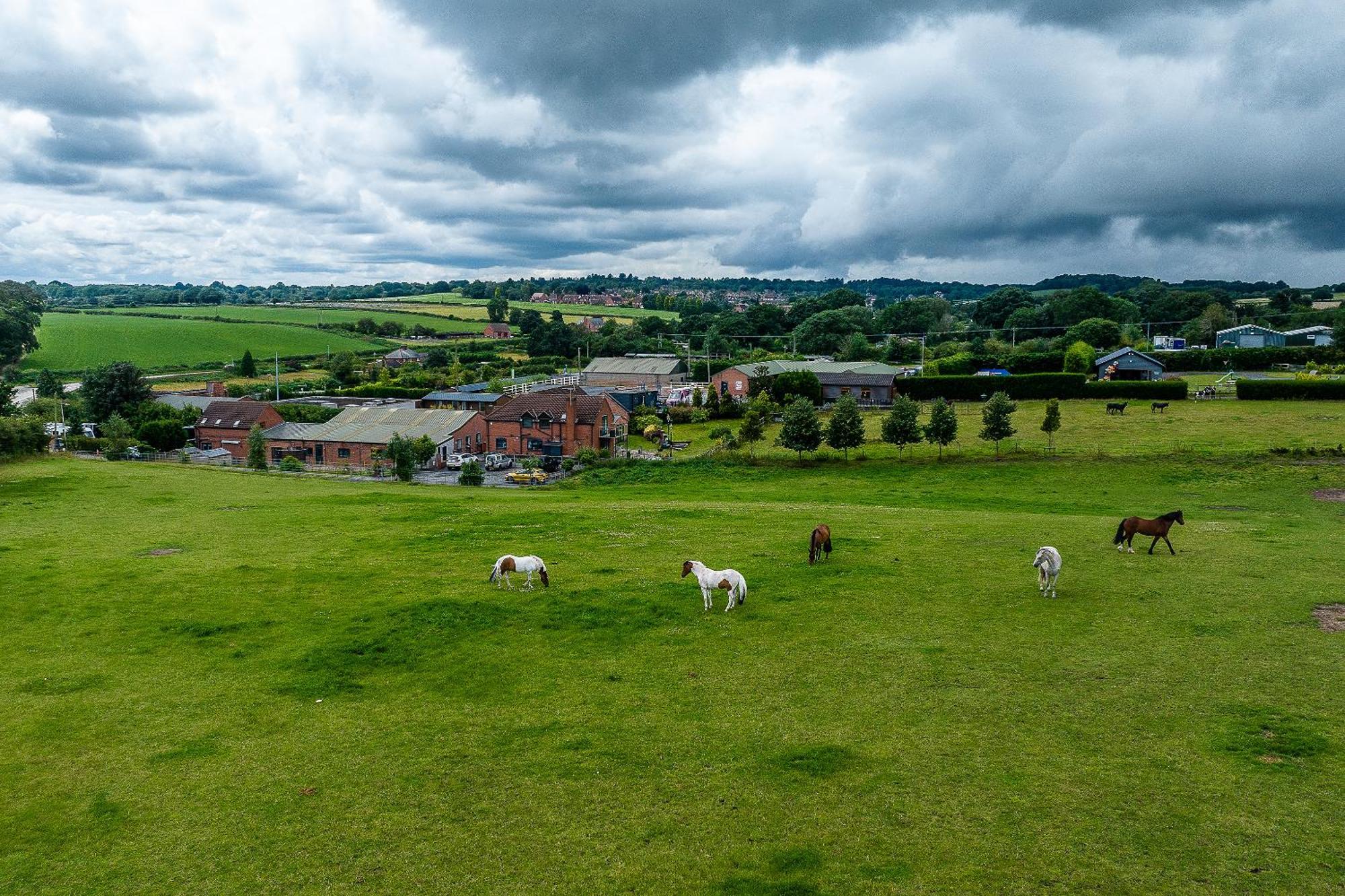 Fairview Farm Holiday Accommodation 14 Luxury Lodges, Cabins, Dog Friendly, Suitable For Couples, Families And Groups, Wedding Guests , Corporate Events, Sleeps 2-65 Guests In Ravenshead, Nottingham Near Sherwood Forest, Set In 88 Acres Екстер'єр фото